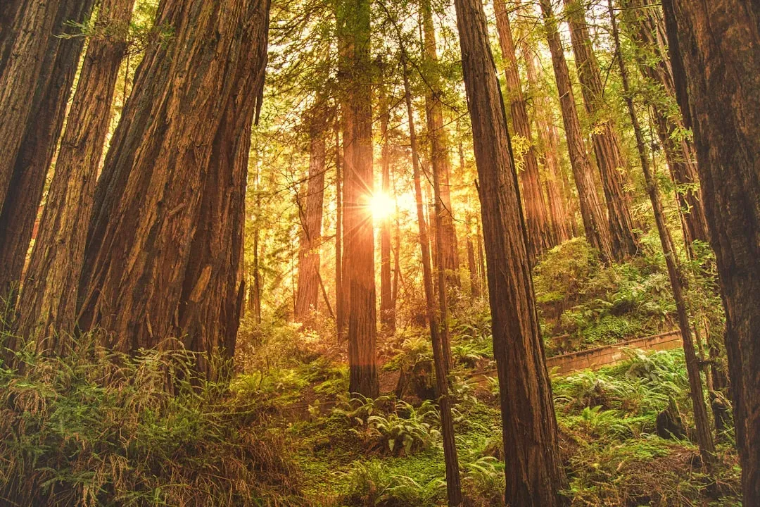 Conclusion: Ancient Wisdom in a Modern World (Image Credits: Unsplash)