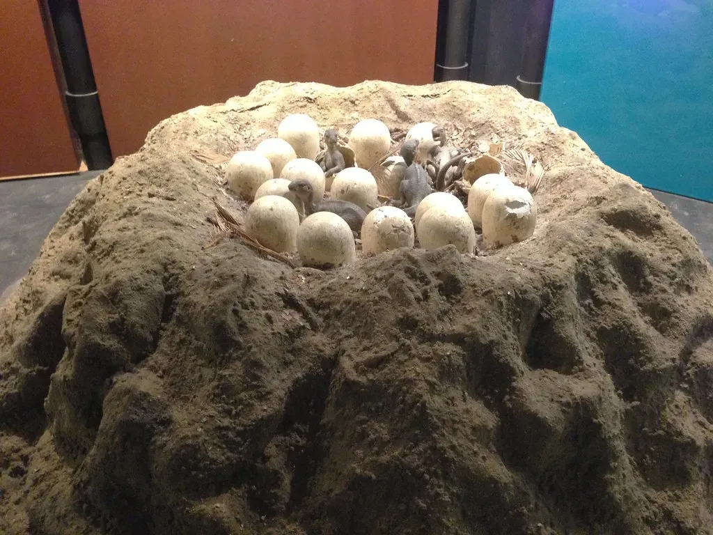 Reconstructing Behavior and Ecosystems: The Full Picture (Nate Loper • #ArizonaGuide ️, Flickr, CC BY 2.0)