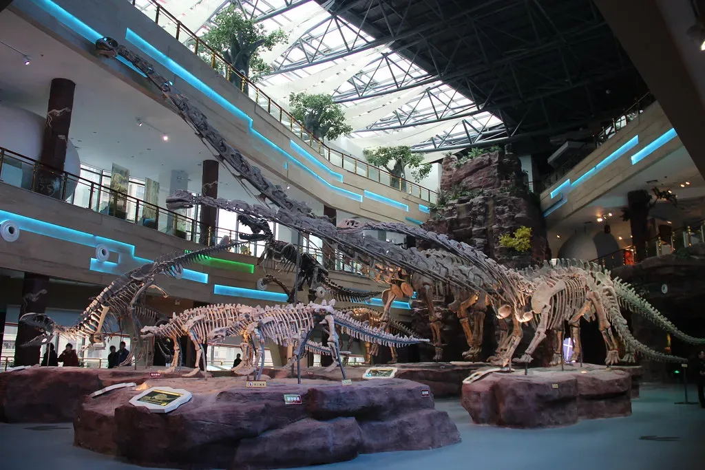 What the Numbers Reveal About Hidden Diversity (Image Credits: Flickr)