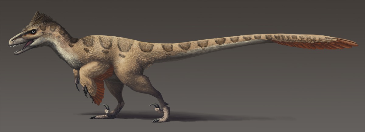 Utahraptor: The Ultimate Killing Machine (Image Credits: Wikimedia)