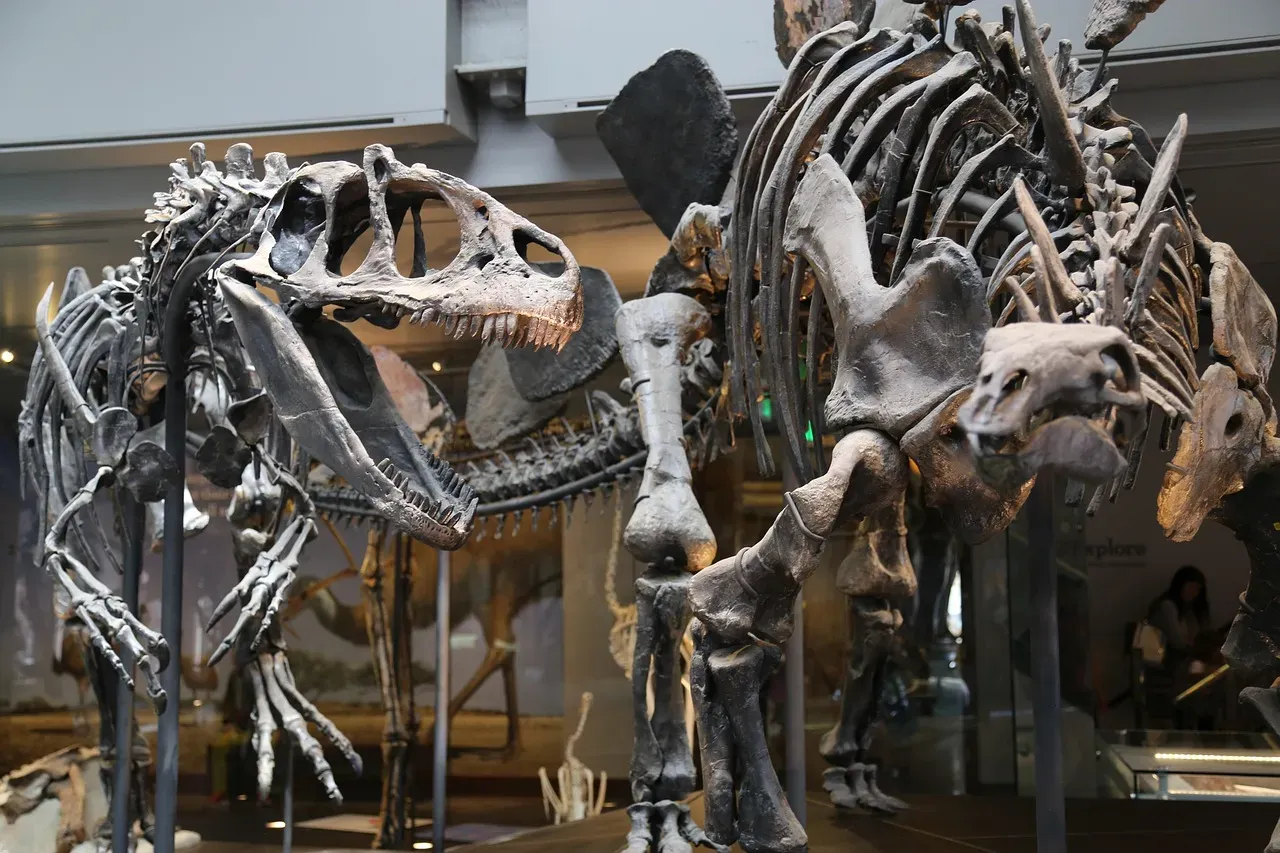 How Pseudoscience About Dinosaurs Undermines Science Literacy for Kids and Adults (Image Credits: Pixabay)