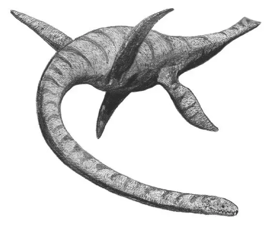 7. Plesiosaur: The Long-Necked Legend That Inspired the Loch Ness Myth (By Adam Stuart Smith, CC BY-SA 2.5)