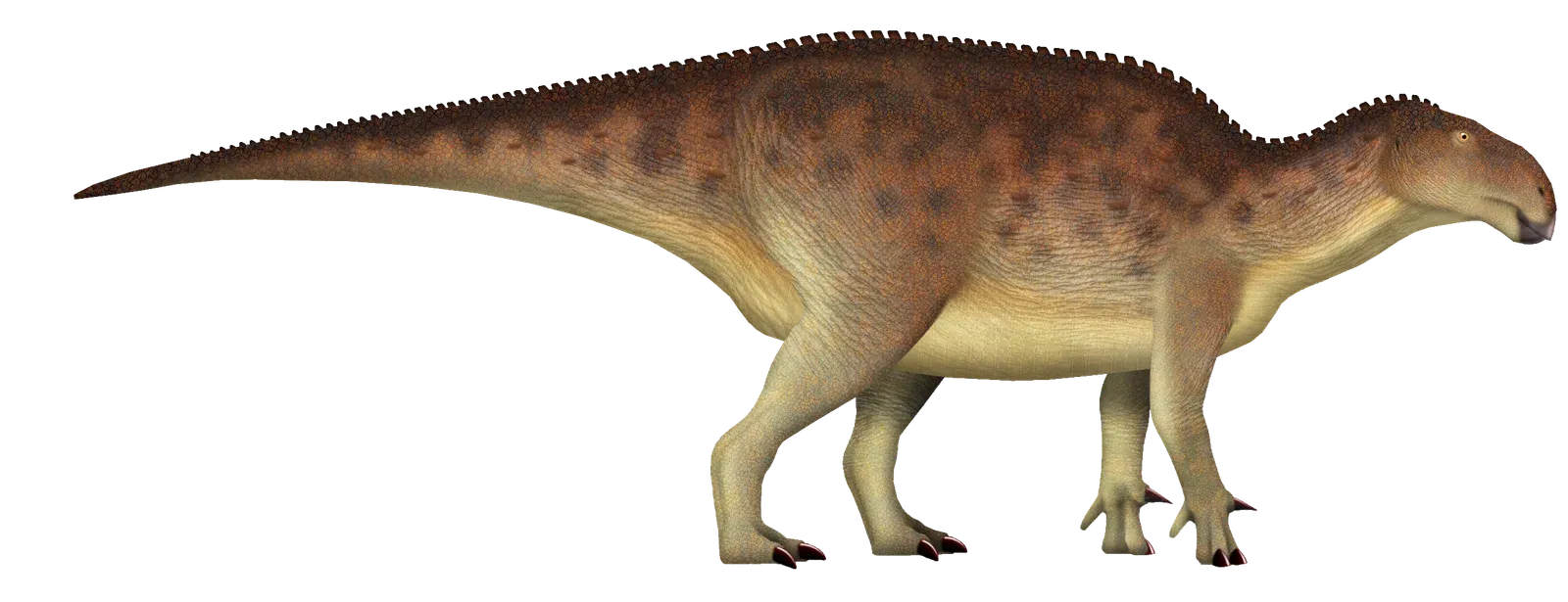 5. Qianjiangsaurus: The Duck‑Billed Dinosaur with a Built‑In Sound System (By TotalDino, CC BY 4.0)