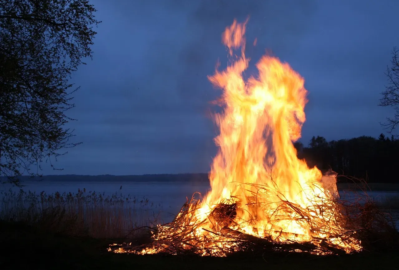 4. We Became Less Hairy and Better Built for Heat and Distance (Image Credits: Pixabay)