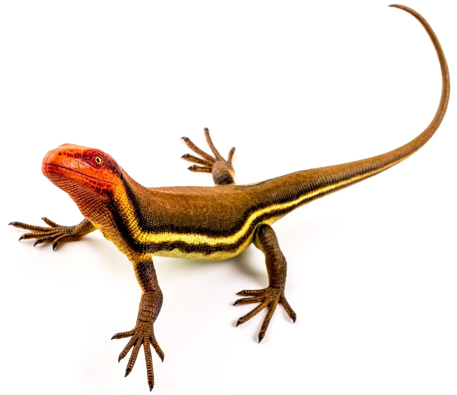 #12 - You'd Be Watching the Birth of Reptiles in Real Time (Matteo De Stefano/MUSEThis file was uploaded by MUSE - Science Museum of Trento in cooperation with Wikimedia Italia., CC BY-SA 3.0)