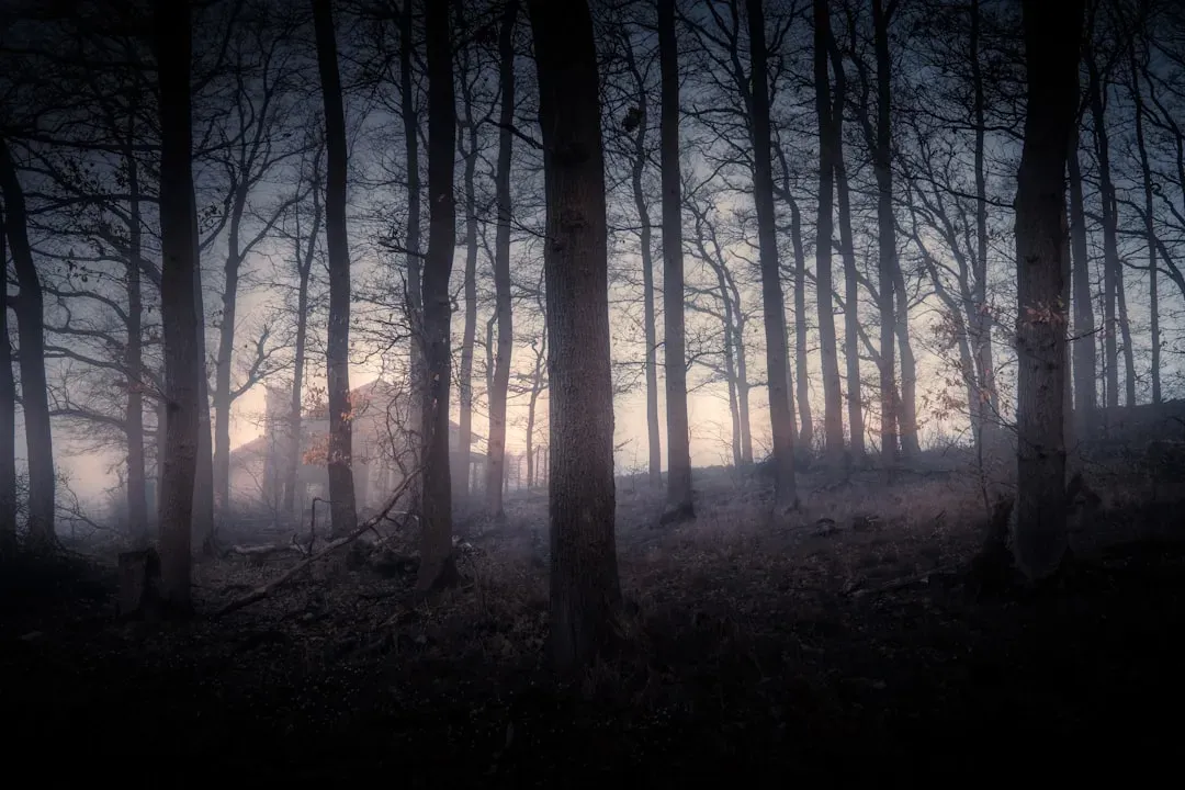 Culture, stories, and horror movies amplify the ancient script (Image Credits: Unsplash)