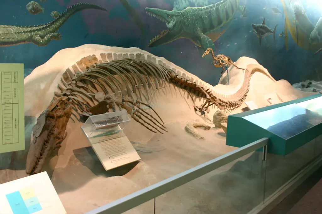 Lords of the Ancient Oceans: Who Were These Creatures? (Image Credits: Flickr)