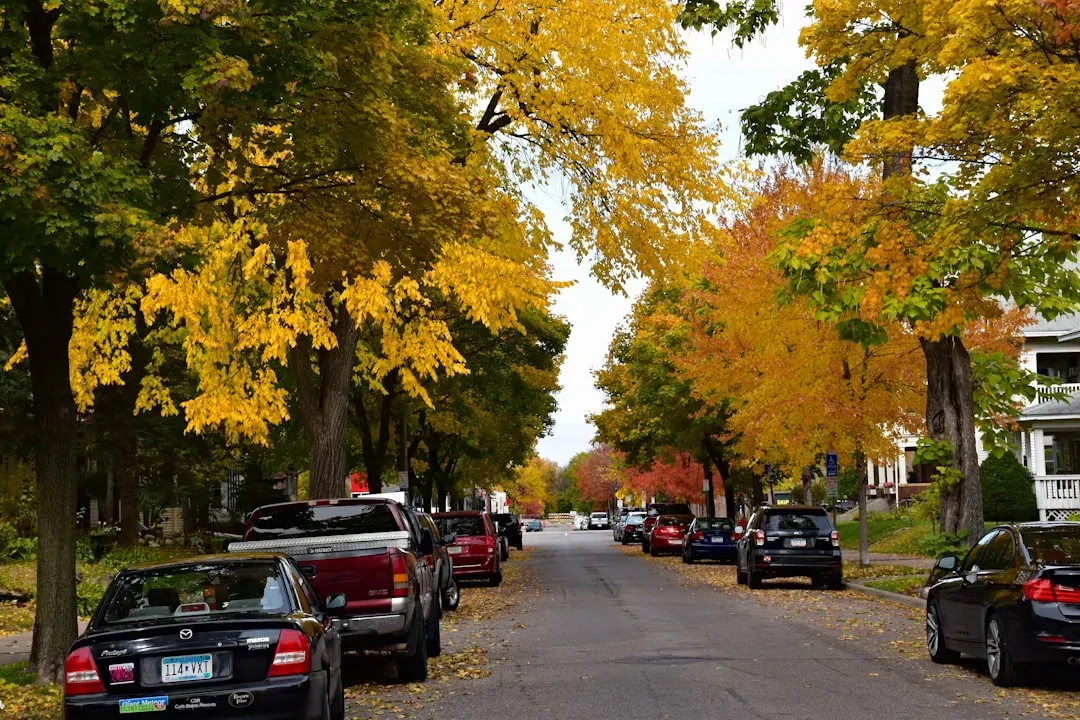 The Neighborhood You're In Tells a Story (Image Credits: Unsplash)