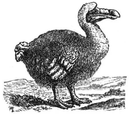 #1 - The "Last Dodo Killed by a Drunken Sailor" Story (By unknown/F. A. Brockhaus, Public domain)
