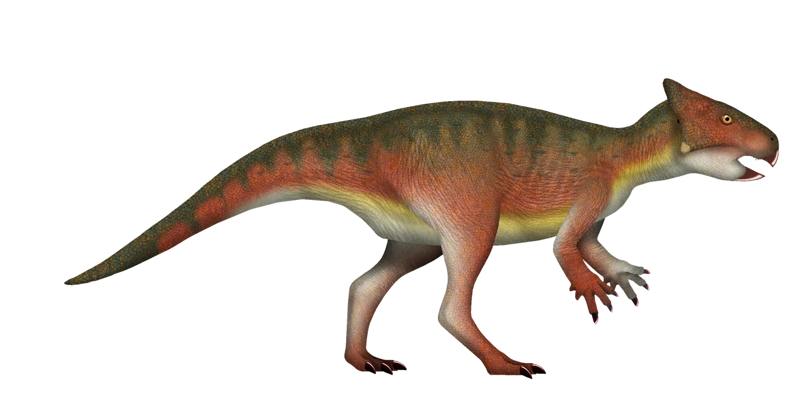 Neoceratopsia: The Horned Dinosaur Relatives (Image Credits: Wikimedia)