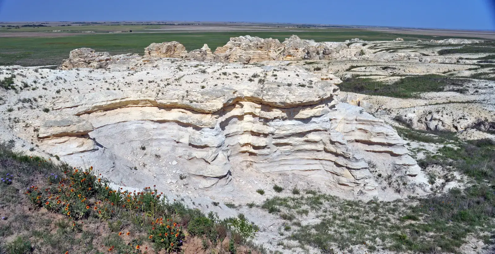 The Sediment Layers: Nature's Perfect Preservation Machine (Chalk badlands (Niobrara Formation, Upper Cretaceous; chalk bluffs south of Castle Rock, Gove County, Kansas, USA) 27, CC BY 2.0)