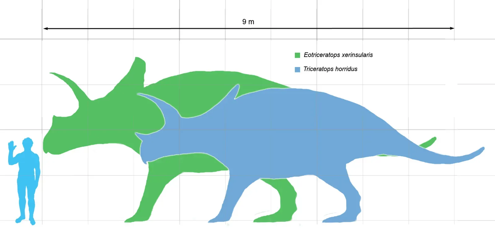 A Giant With Horns: What Was Eotriceratops? (By Matt Martyniuk, CC BY 3.0)