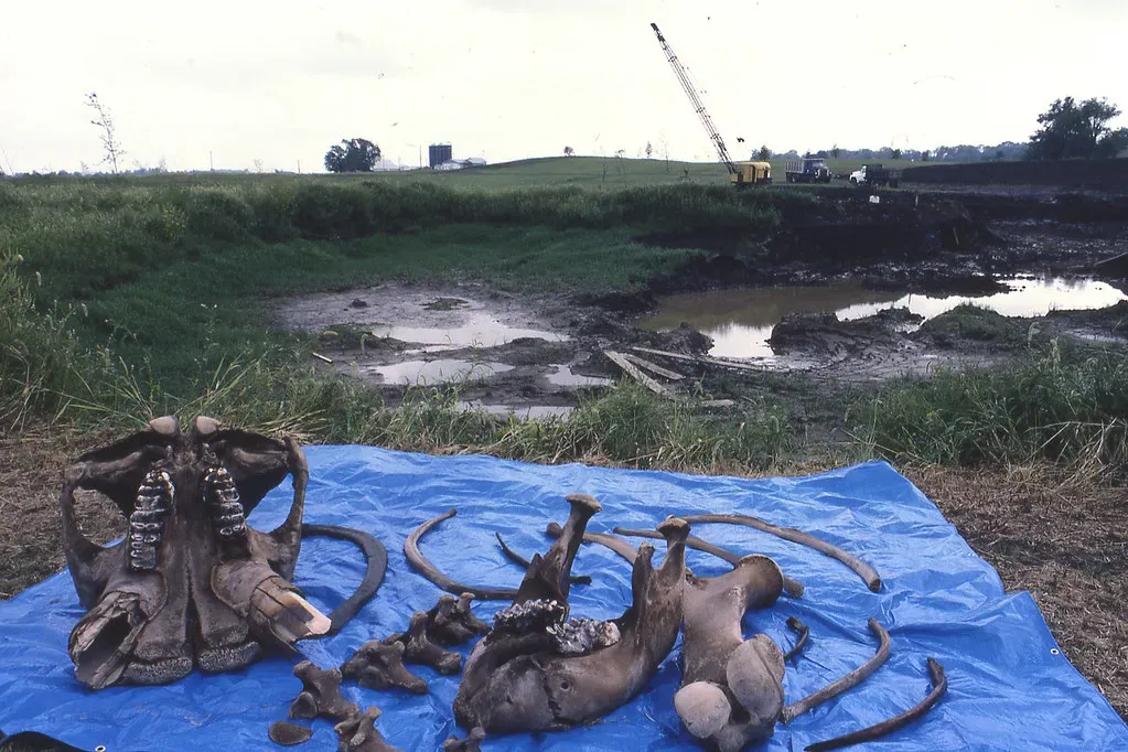 Conclusion: Chance Finds, Big Shake-Ups, and Why Prehistory Is Never “Finished” (James St. John, Flickr, CC BY 2.0)