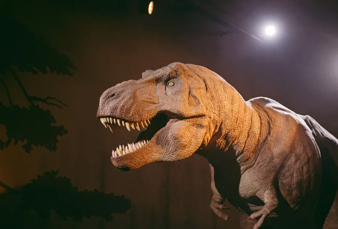T. Rex, Velociraptor, and the Warm-Blooded Theropods (Image Credits: Unsplash)