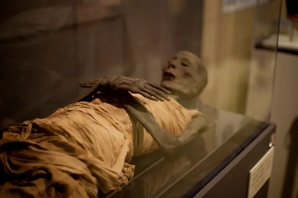 Health, Disease, and the Surprising Modernity of Ancient Bodies (Will Scullin, Flickr, CC BY 2.0)