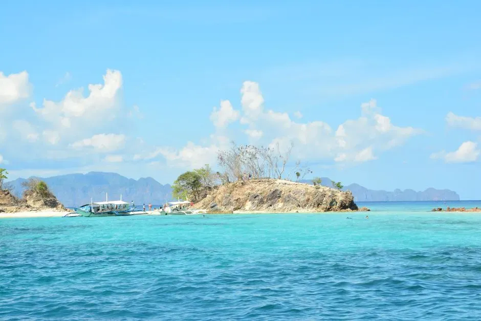 The Pacific Leap: Coastal and Island-Hopping Routes Into Australasia (Image Credits: Pexels)