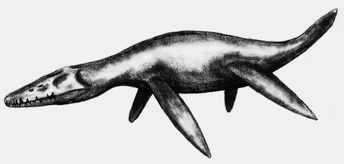 Anatomy of a Sea Monster: Why Pliosaurs Were Built to Dominate (By Ornitholestes, CC0)