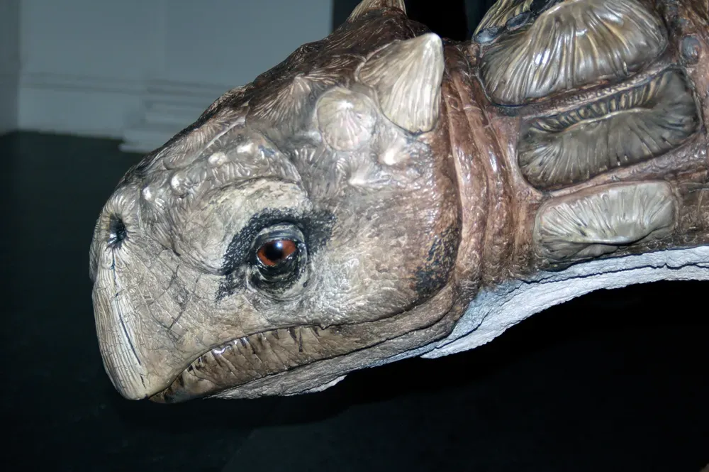 #13 - Scientists Guessed at Where Dinosaur Nostrils Even Went (By Matt Martyniuk (Dinoguy2), CC BY-SA 4.0)