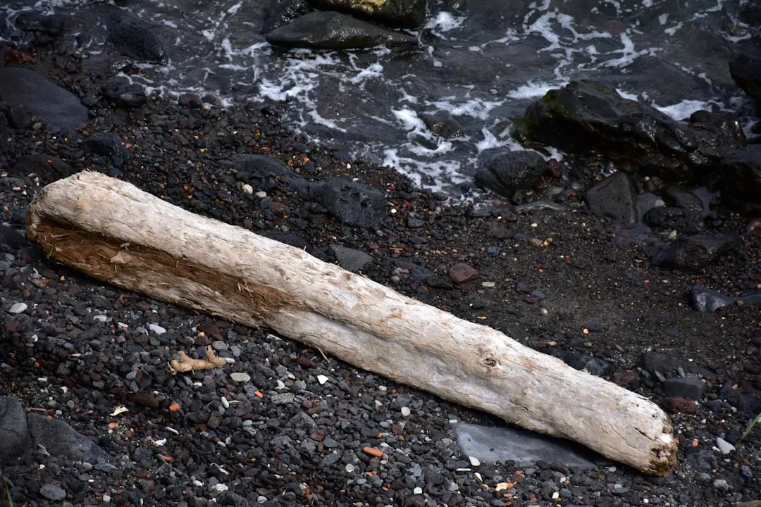 #7 - The Bone Tubes That Refuse to Be Flutes, Straws, or Anything Else (Image Credits: Unsplash)