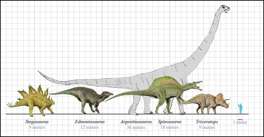 Who Were the Very Biggest Dinosaurs, and How Big Were They Really? (Zachi Evenor, Flickr, CC BY-SA 2.0)
