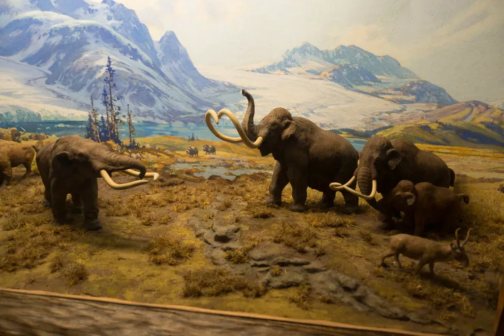 Mastodons and Mammoths: The Elephant Cousins (Image Credits: Flickr)