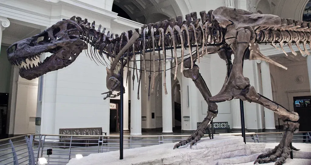 What Dinosaur Healing Tells Us About Our Own Biology (James St. John, Flickr, CC BY 2.0)