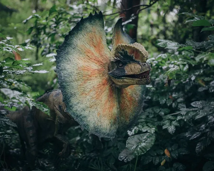 Conclusion: It Is Time to Demand Animals, Not Just Monsters (Image Credits: Pexels)