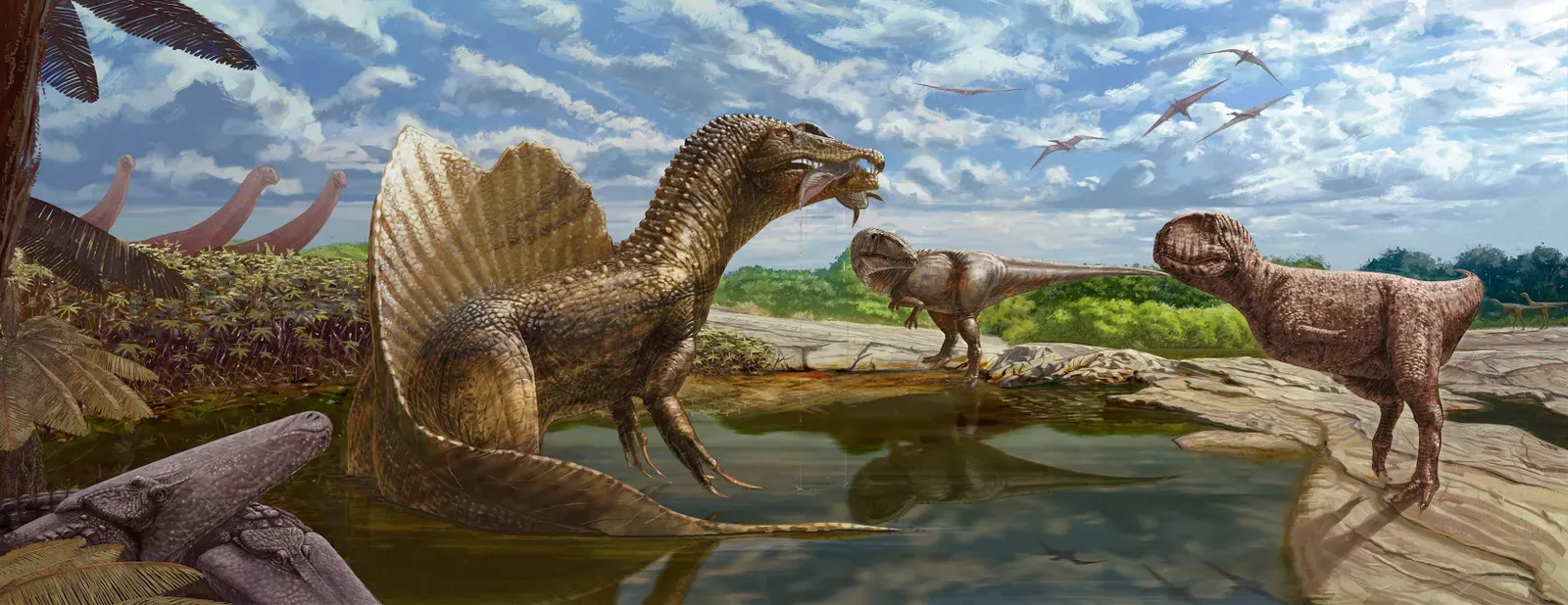 2. Dinosaurs Lived in Crowded, Complex Ecosystems - Not Solo Monster Arenas (Salem, Belal S. (2022). "First definitive record of Abelisauridae (Theropoda: Ceratosauria) from the Cretaceous Bahariya Formation, Bahariya Oasis, Western Desert of Egypt". Royal Society Open Science 9 (6): 220106. DOI:10.1098/rsos.220106., CC BY 4.0)