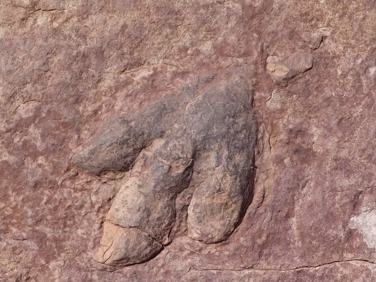 What Footprints Cannot Tell Us (And Why That Matters) (Image Credits: Pixabay)