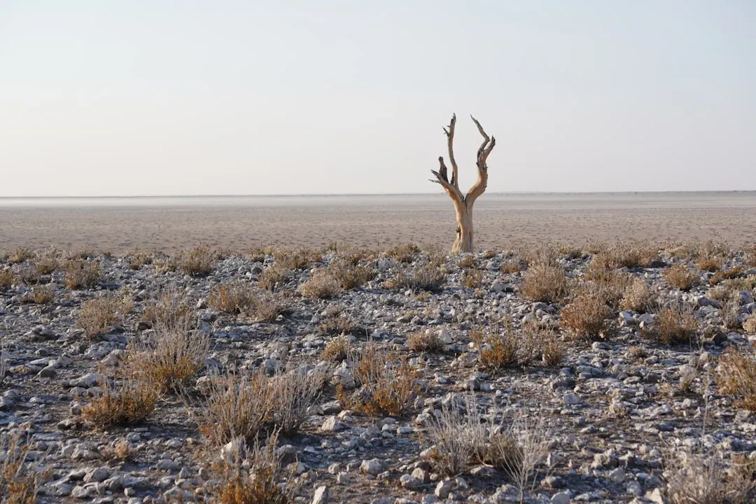 A World Born from Catastrophe: The Permian Legacy (Image Credits: Unsplash)