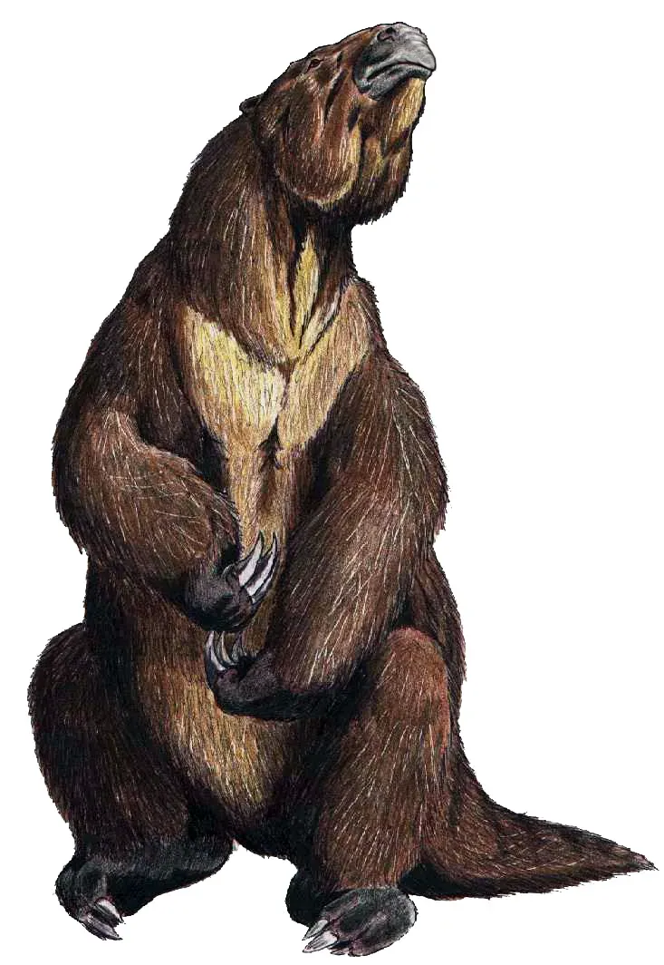 Megatherium: The Giant Ground Sloth (Image Credits: Wikimedia)