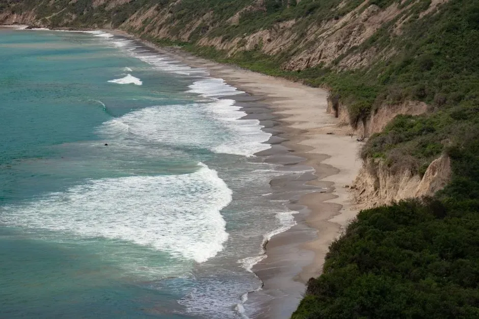 Less Ocean Diversity, But Wild Coastal Life (Image Credits: Pexels)