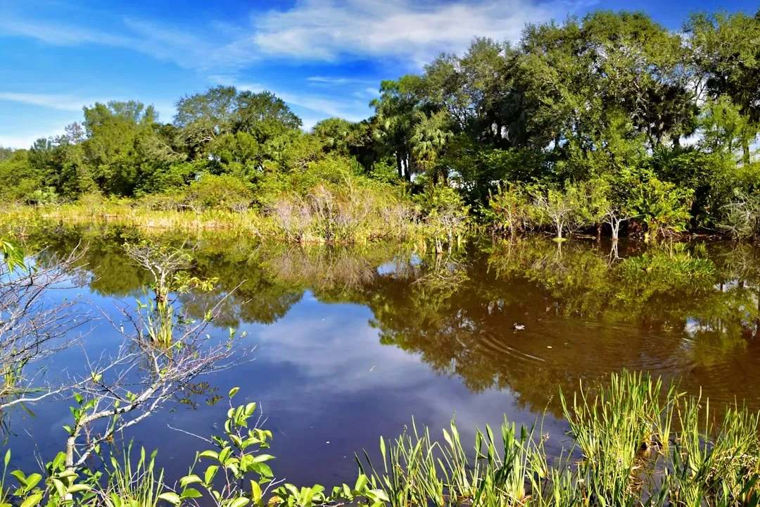 What These Discoveries Mean for Conservation and Medicine (Image Credits: Unsplash)