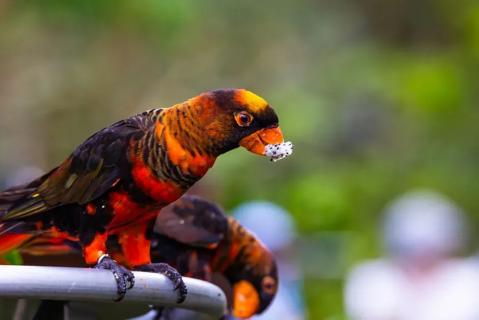 Why Bird Color Unlocks Dinosaur Color (Image Credits: Pexels)