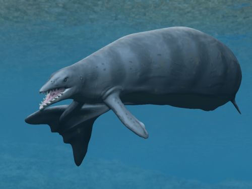 Hunting Strategies of the Ancient Whale Killers (Image Credits: Wikimedia)