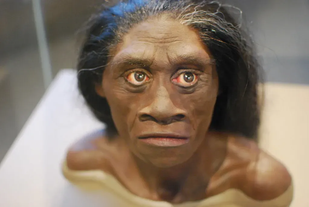 Homo floresiensis: The “Hobbits” of Flores Island (karen_neoh, Flickr, CC BY 2.0)