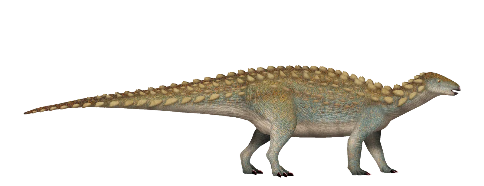 Emausaurus: Germany's Early Jurassic Mystery (Image Credits: Wikimedia)