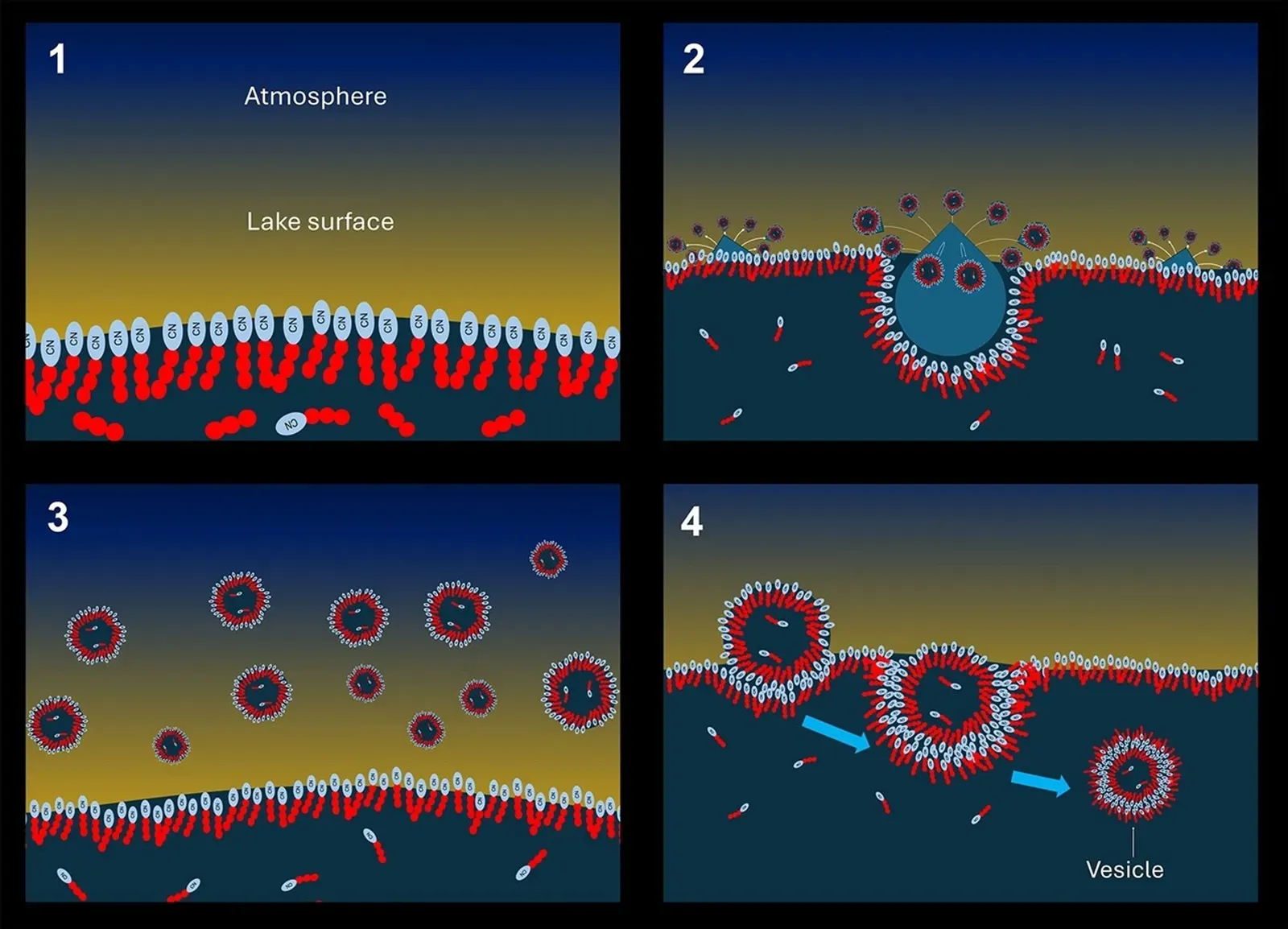 The Lipid World: Fatty Bubbles as First Cells (Image Credits: Wikimedia)