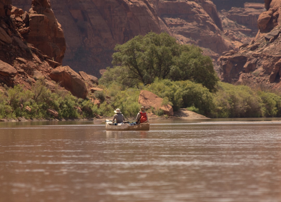 Scorpio: Investigate and Adapt (Image Credits: Unsplash)