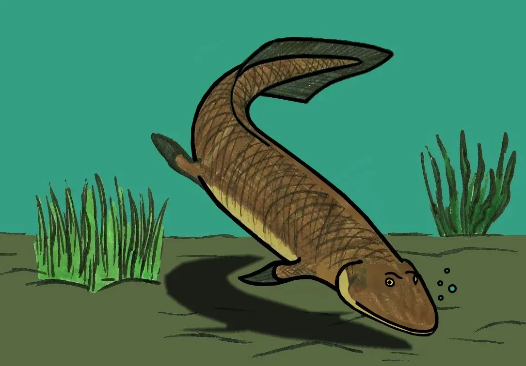 A Common Ancestor Hidden in Deep Time (By Conty, CC BY-SA 4.0)