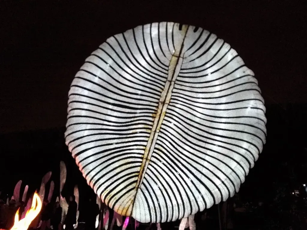 Dickinsonia: The Frilly Rug That Baffles Scientists (Image Credits: Flickr)