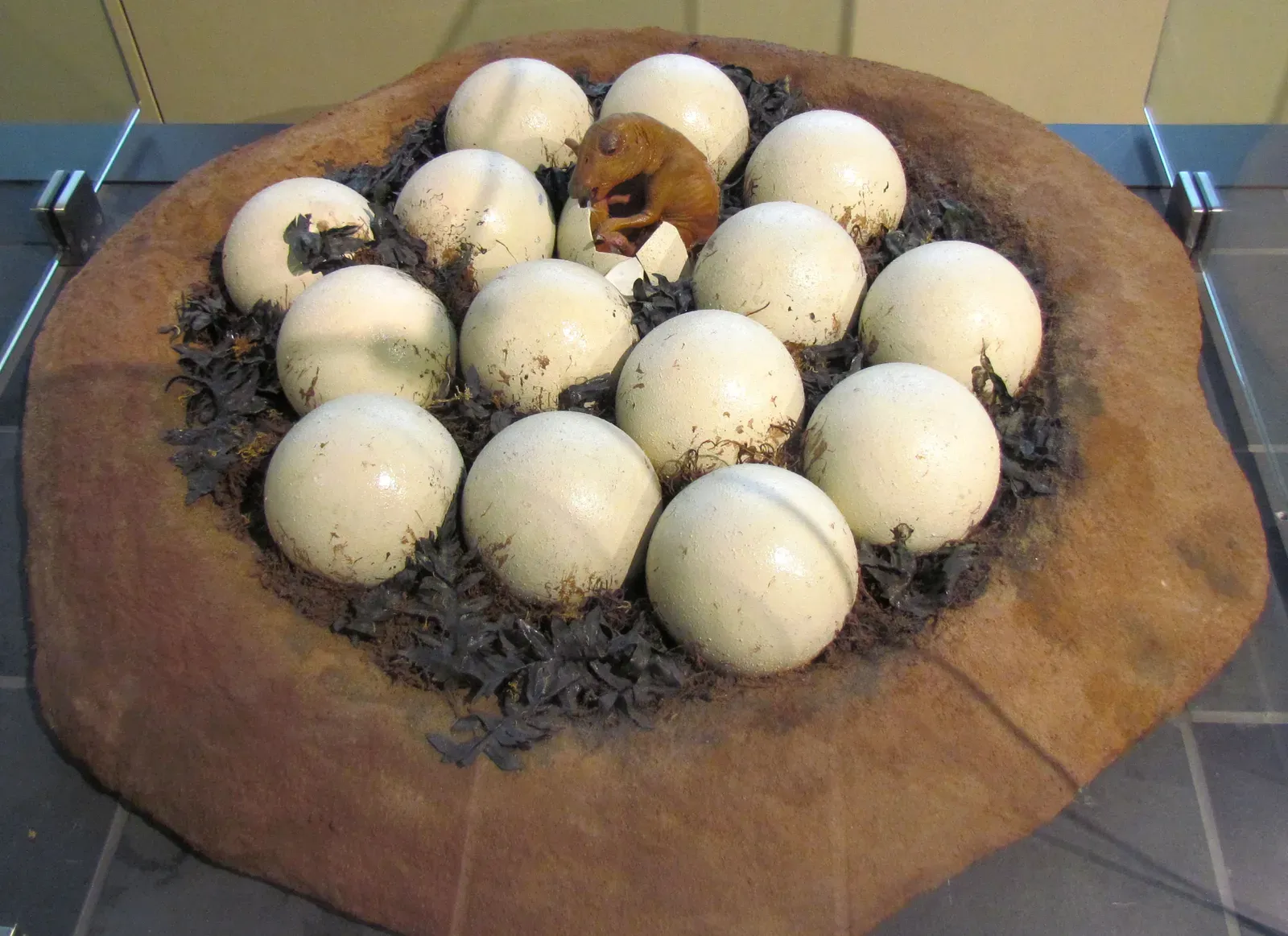 What This All Means for Understanding Ancient Ecosystems (Image Credits: Wikimedia)