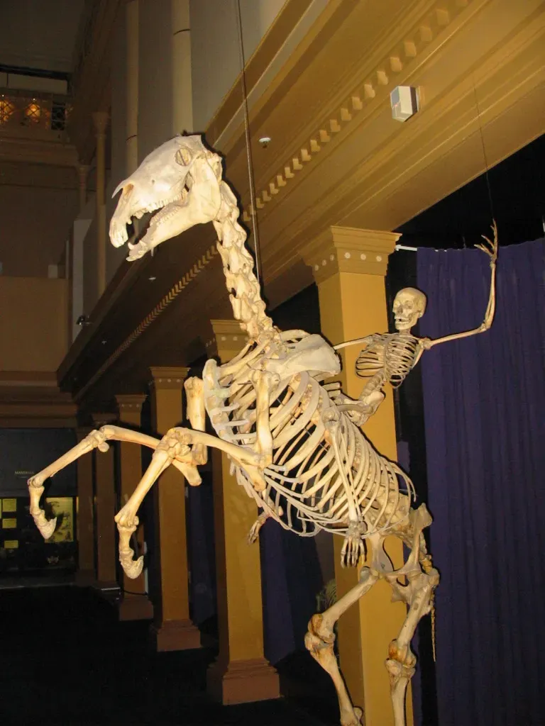 #21 - The "Giant Saint's Horse" That Was Mostly Cow (Own work (Original text: I created this work entirely by myself.), Public domain)