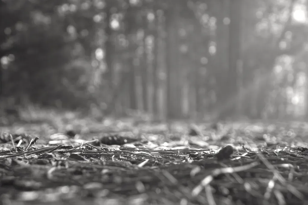 The Impact Winter and the Collapse of the Food Chain (kevin dooley, Flickr, CC BY 2.0)