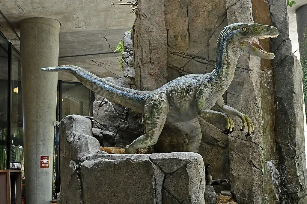 Conclusion: Letting Go of Childhood Dinosaurs Makes the Real Ones Even Better (chooyutshing, Flickr, CC BY 2.0)