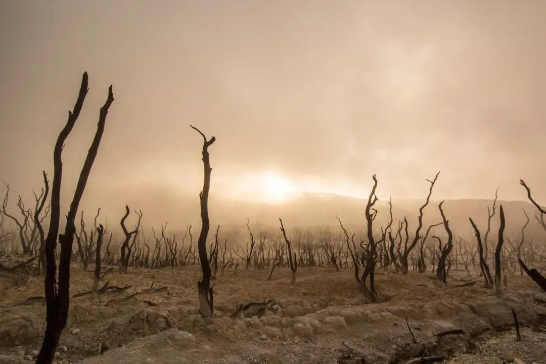 Conclusion: a world reshaped by thirst - and a species shaped by walking (Image Credits: Unsplash)