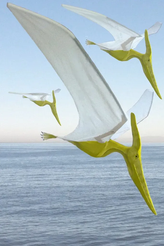 Sagittarius (November 22 – December 21): Pteranodon (DSC82491, Flickr, CC BY-SA 2.0)