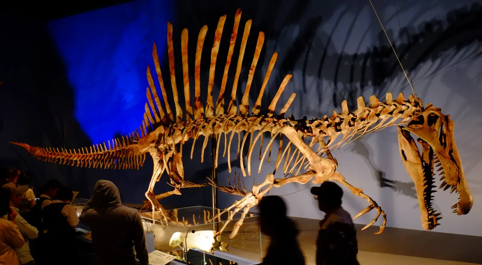 Spinosaurus: The Biggest Killer to Ever Roam the Earth (By ★Kumiko★, CC BY-SA 2.0)