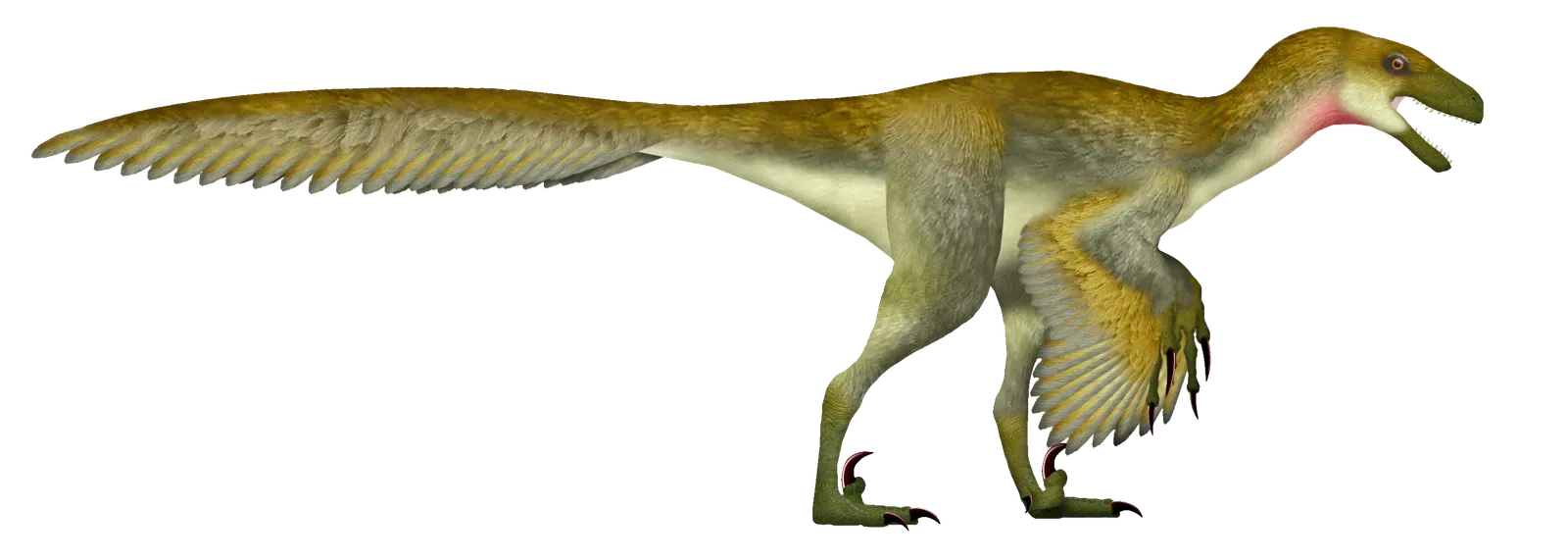 2. Bipedalism: Standing Tall on Two Legs (Image Credits: Wikimedia)