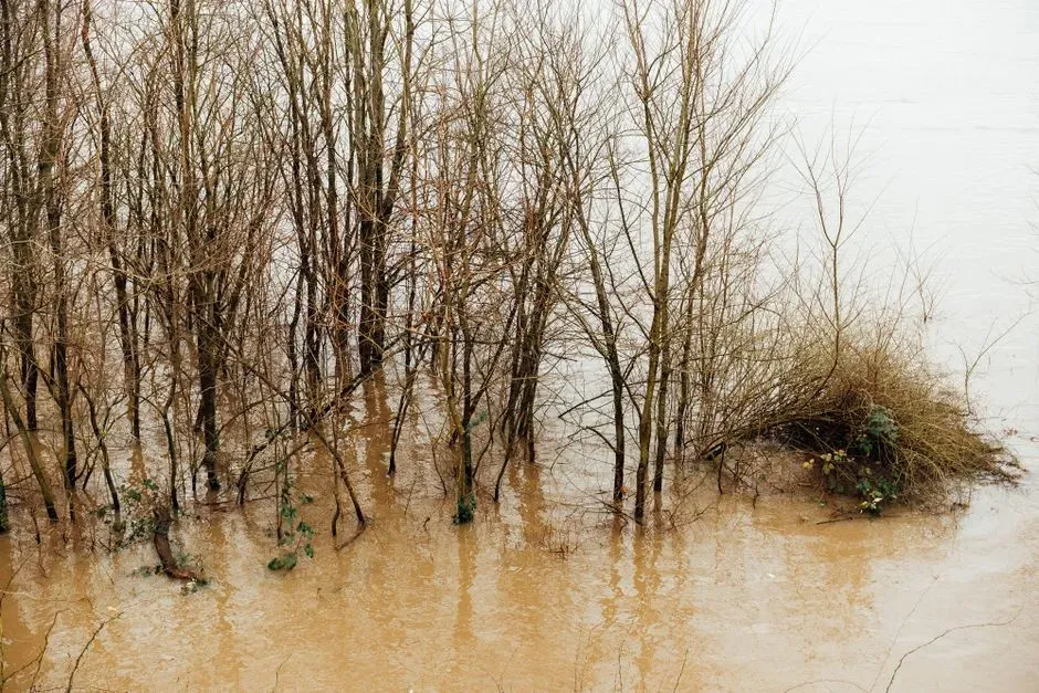 Floods, Sea-Level Rise, And The Power Of Collective Memory (Image Credits: Pexels)